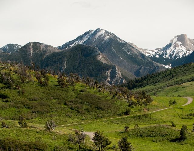 Rolling green hills with mountains