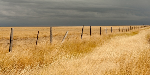 Hay field under dark cloudy sky, Central Montana