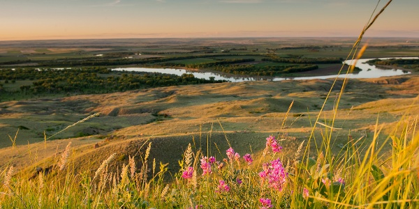 River flowing through the plains