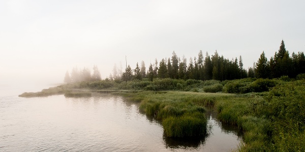 Foggy lake view