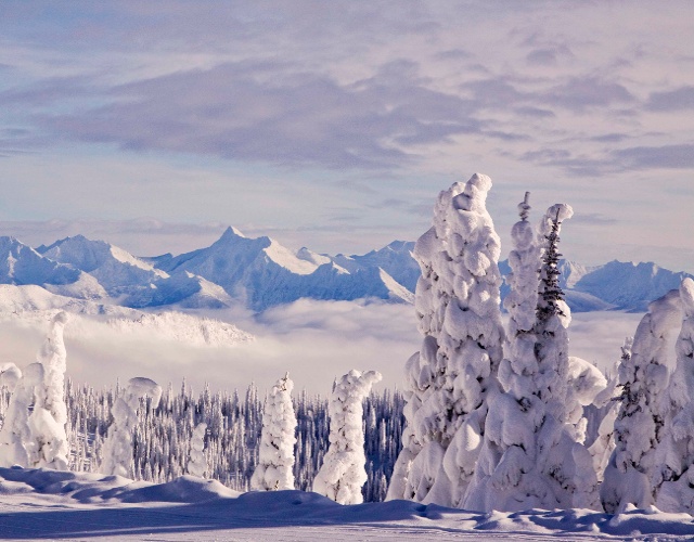 Snow ghosts Whitefish with mountain background